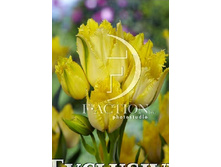 49,14���. ������� ������� �����(�������� ���� �� 10 ��., ����������� ����� 1��.)���14.jpg