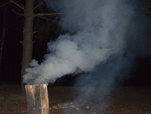 DSC_0486_01.JPG