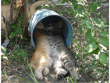 IMG 20150310 141334 1.jpg