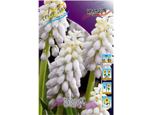 9,35���. ������� �����(���������� ������ ������ ���������� �� 10 ��.).jpg