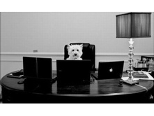 ����� ���������.jpg