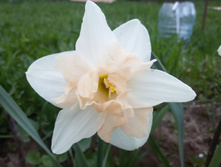 20150516 184309.jpg