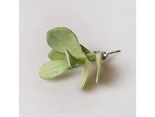 ��������� 42303-2 100�.jpg