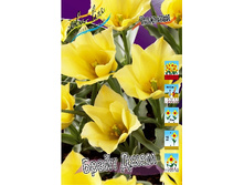 7,19���. ������� ����� ����(���������� ������ ������ ���������� �� 10 ��.).jpg