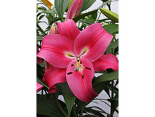 23,61���. �����  ������(��� 10 ��. ���������� ������ 5��.).jpg