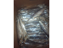 IMG 20150511 144846.jpg