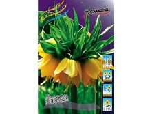 95,5���. ����������� �����(�������� ���� �� 2 ��., ����������� ����� 1��.).jpg