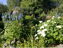 ������ ����. ����� (2).jpg