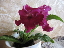 ������������� ���������.jpeg