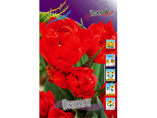 11,51���. ������� ������(��� 10 ��. ���������� ������ 5��.).jpg