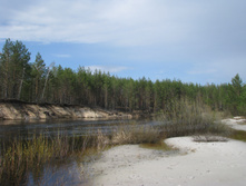 ����� ��� 4