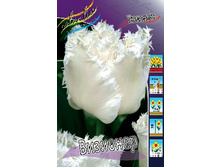 15,12���. ������� ��������(��� 10 ��. ���������� ������ 5��.).jpg