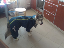 IMAG2549.jpg