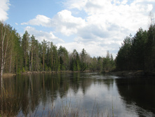 ����� ��� 5