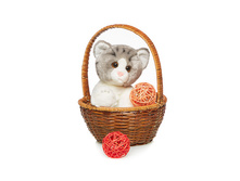 ����� ������� - 612,81 ������