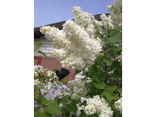 ������ ���������.jpg