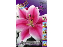 36,68���. �����  ���������(�������� ���� �� 10 ��., ����������� ����� 1��.).jpg