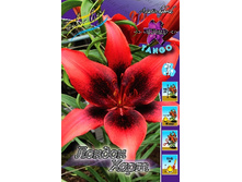 31,42���. �����  ������ ����(�������� ���� �� 10 ��., ����������� ����� 1��.)���14.jpg