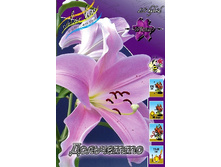 22,47���. �����  ���������(��� 10 ��. ���������� ������ 5��.).jpg