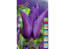 12,23���. ������� ����� ����(��� 10 ��. ���������� ������ 5��.).jpg