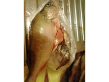 2012-01-01 08.12.57.jpg