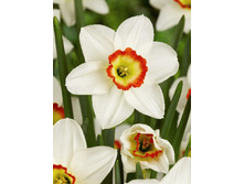 54,23���. ������� ������ ���� �� �������(�������� ���� �� 3 ��., ����������� ����� 1��.)���15.jpg