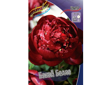 263,1���. ���� ����� �����(�������� ���� �� 2 ��., ����������� ����� 1��.).jpg