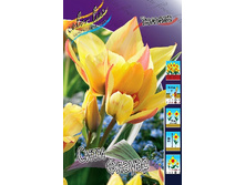 11,95���. ������� ���� ������(��� 10 ��. ���������� ������ 5��.).jpg