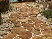 87940346 pic0218.jpg