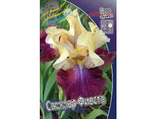 82,4���. ���� ���������� ������ ������(�������� ���� �� 3 ��., ����������� ����� 1��.).jpg