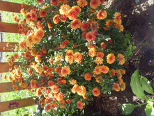 ����������