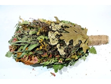 ������ ����� "�������". ���� 285 ���.