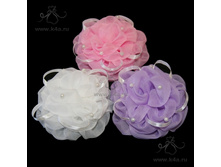 �304 "��������" ���� ��� �� ������� (13��)