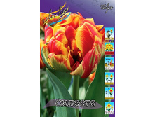 12,81���. ������� �������(��� 10 ��. ���������� ������ 5��.).jpg