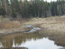 DSC02696.JPG