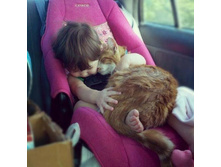 � �������)