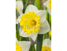 20,88���. ������� ��� �����(��� 10 ��. ���������� ������ 5��.)���14.jpg