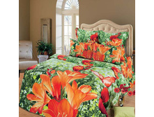 ������ ������.jpg