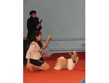 1-5417ff573d364 img3131.jpg