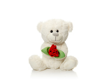 ����� ������ � ����� (�����) 25 �� - 395,46 ������