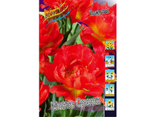 12,95���. ������� ����� �����(��� 10 ��. ���������� ������ 5��.).jpg