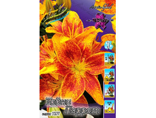 25,04���. �����  ����� ������(���������� �� ����� �������� �� 5��.)���14.jpg