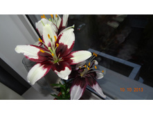 DSC01767.JPG