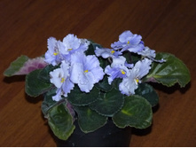 �������� ���������