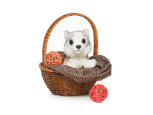 ����� - 393,49 ������