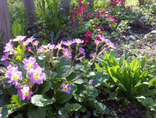 ������� ������������