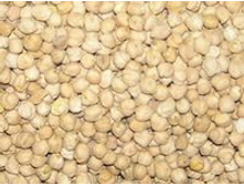 ��� ������.jpg