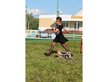 1-8631185 IMG 8528.jpg