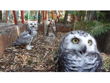 20140807100833 0.jpg