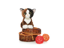 ������� - 393,49 ������